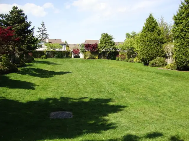 New Listings in Whalley — June 2026