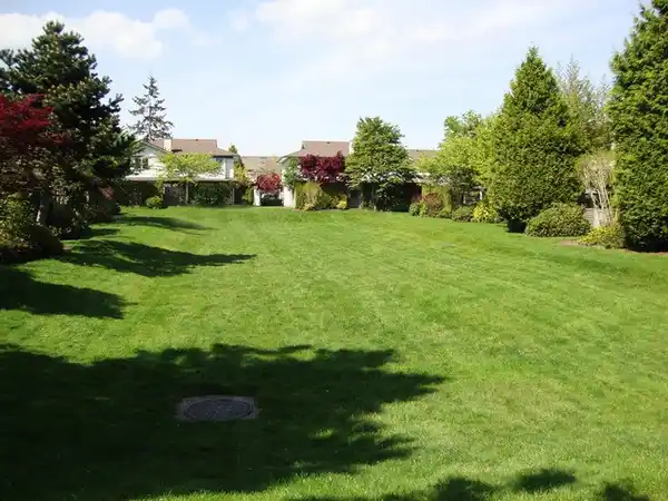 New Listings in Whalley — June 2026