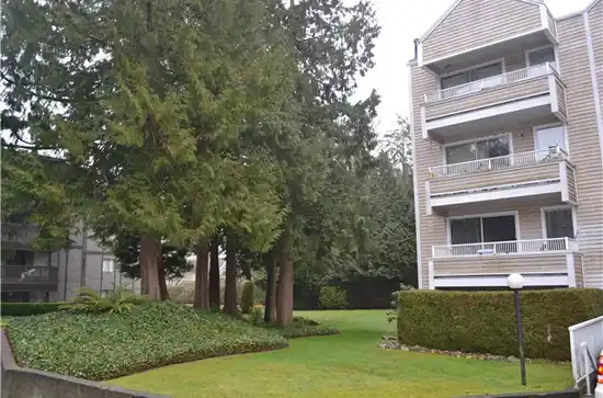 Parkwoods Fir - photo 2 of 4