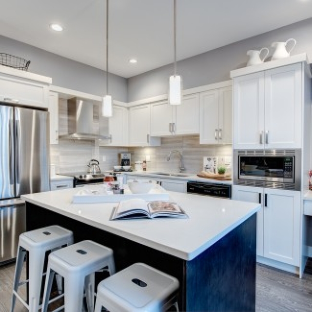 Asher - photo 2 of 7