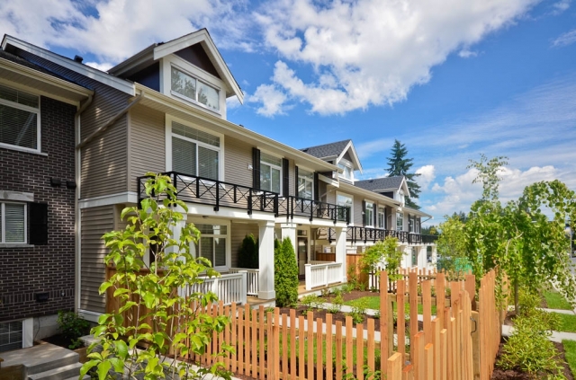 Blume - photo 4 of 6