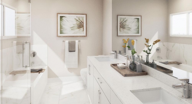 Boxwood - photo 2 of 4