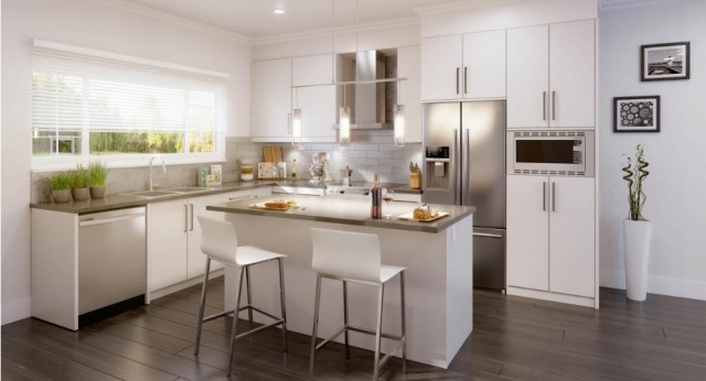 Boxwood - photo 3 of 4