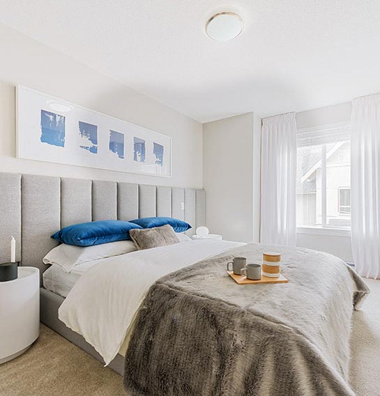 Canopy - photo 3 of 5