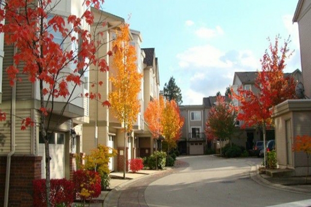 Canterbury - photo 3 of 4