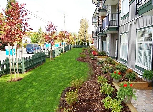 Celeste - photo 2 of 3