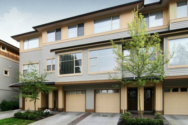 Chestnut - photo 2 of 2