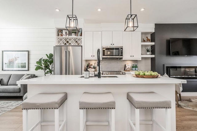 Clover - photo 4 of 20