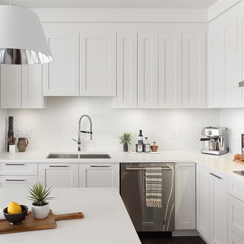 Evolve - photo 3 of 20