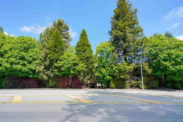 Forest Manor - photo 2 of 5