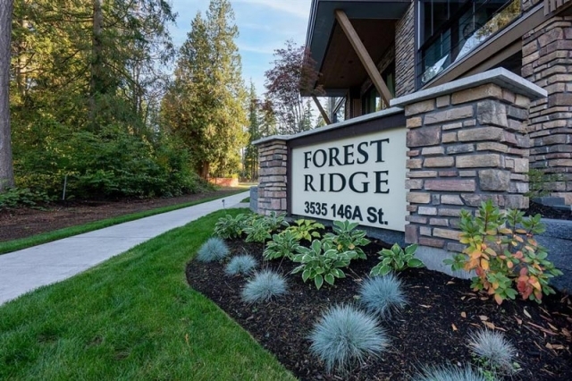 Forest Ridge - photo 3 of 15