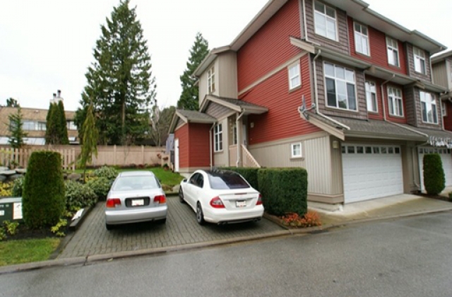 Grey Hawk - photo 2 of 6