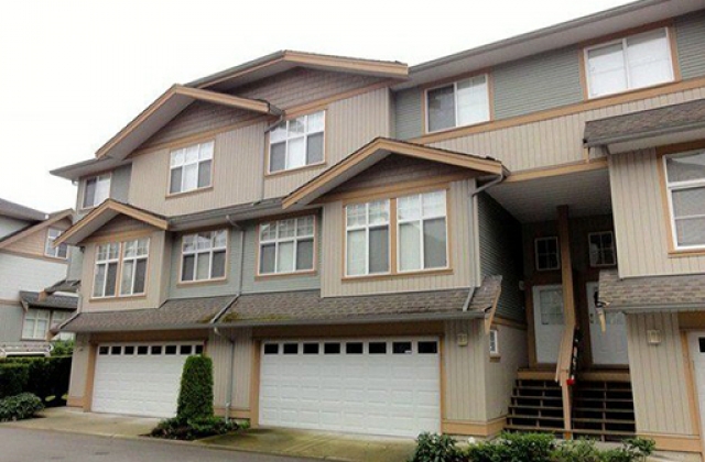 Grey Hawk - photo 3 of 6