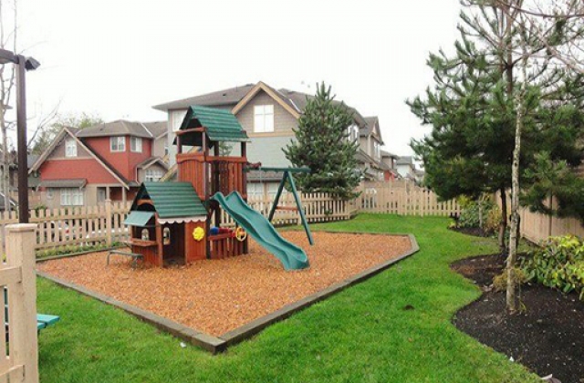 Grey Hawk - photo 4 of 6