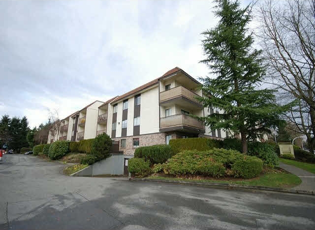 Hamptons - photo 2 of 4