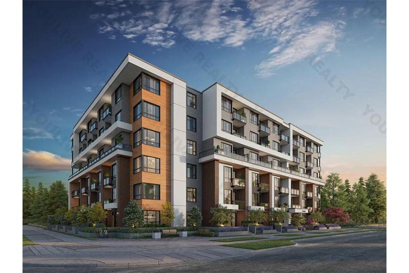 Hendrix - photo 3 of 7