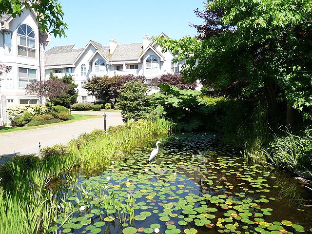 Highlands - photo 4 of 6