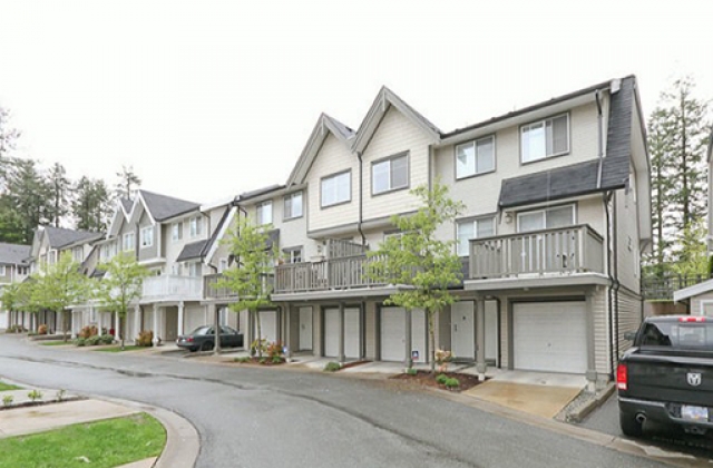 Huckleberry - photo 2 of 7