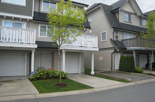 Huckleberry - photo 3 of 7