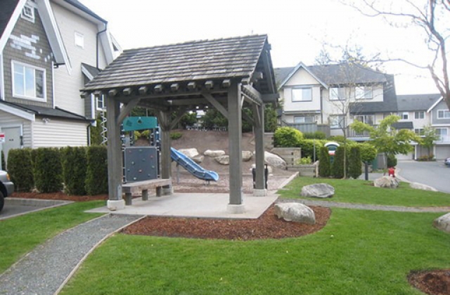 Huckleberry - photo 4 of 7