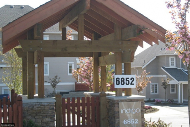 Indigo - photo 2 of 2