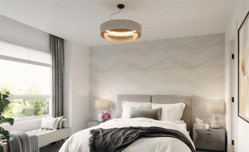 Jasper - photo 4 of 7