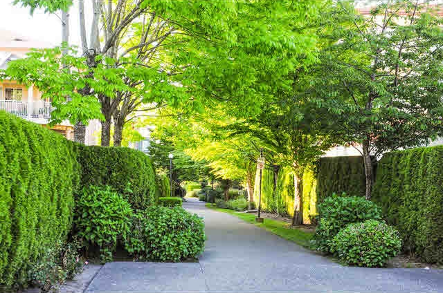 Kings Court - photo 3 of 7