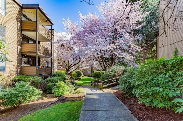 Lincoln Hill - photo 3 of 5