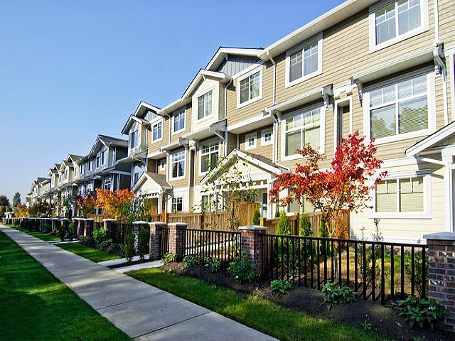 Lotus - photo 2 of 2