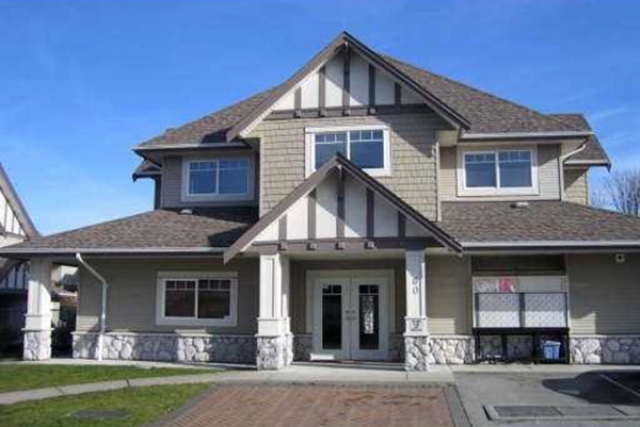 Magnolia - photo 3 of 6