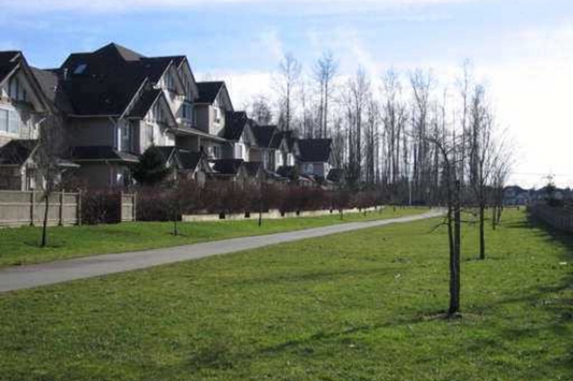 Magnolia - photo 4 of 6