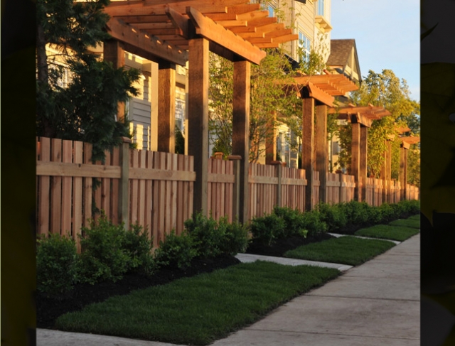 Maple on 84th - photo 4 of 5