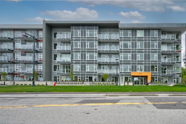 Maverick - photo 2 of 7