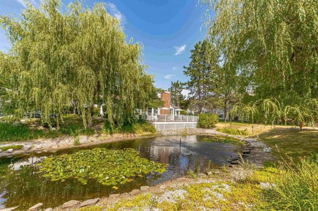 Mayfield green - photo 2 of 13