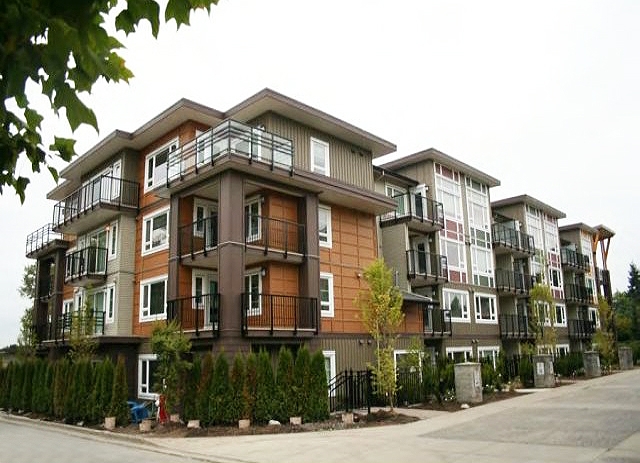 Mirra - photo 3 of 3