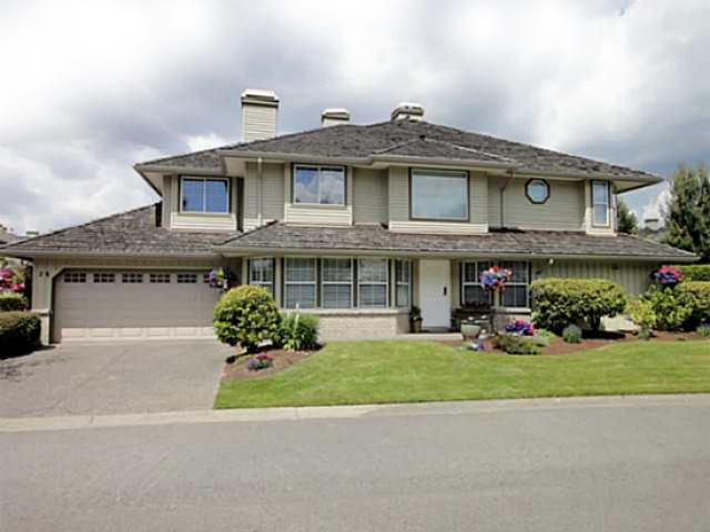 Oak Tree - photo 2 of 8