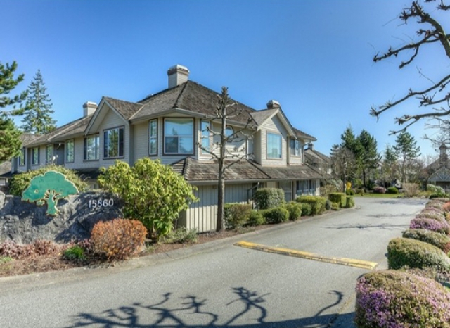 Oak Tree - photo 3 of 8