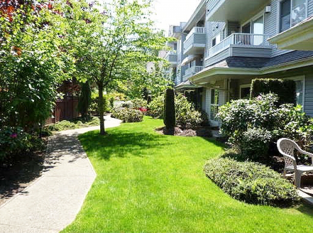 Panacea - photo 3 of 3