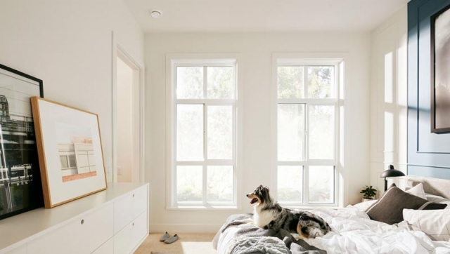 Parker - photo 2 of 7