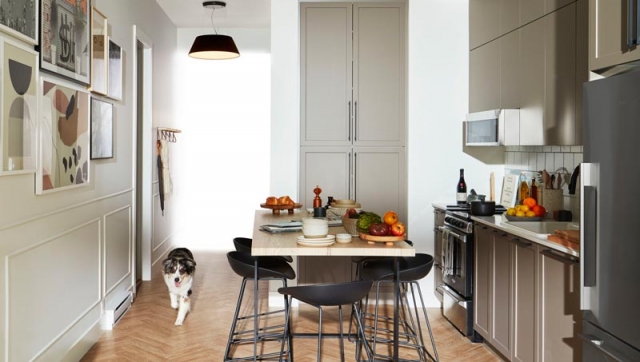 Parker - photo 4 of 7