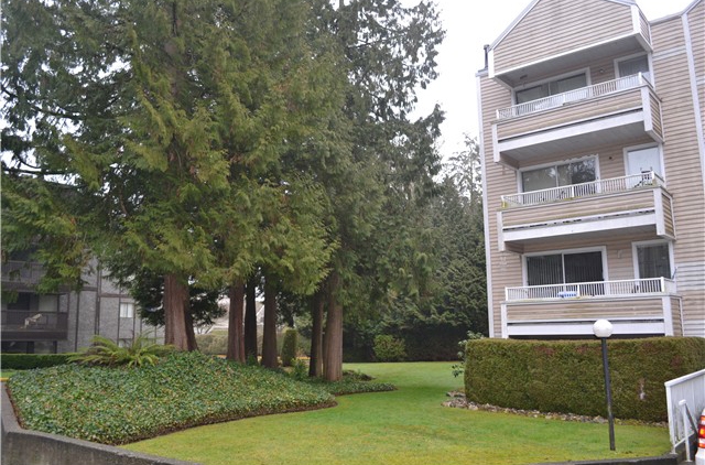 Parkwoods Fir - photo 2 of 4