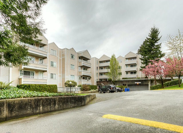 Parkwoods Fir - photo 4 of 4