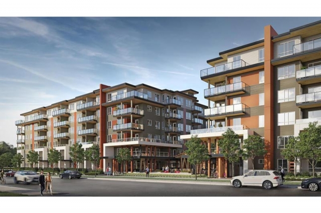 Pura - photo 2 of 11