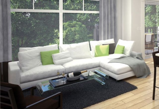 Salix - photo 2 of 10