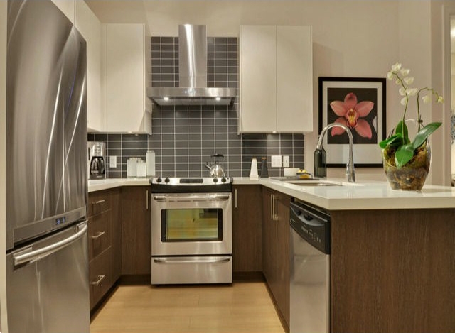 Salix - photo 4 of 10