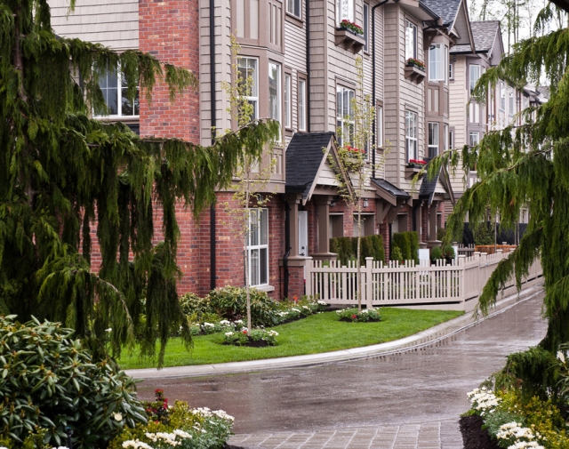 Sequoia - photo 3 of 19