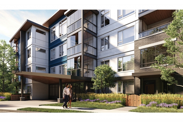 Silva - photo 3 of 10