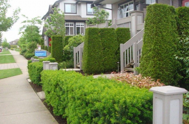 Starpoint - photo 3 of 5