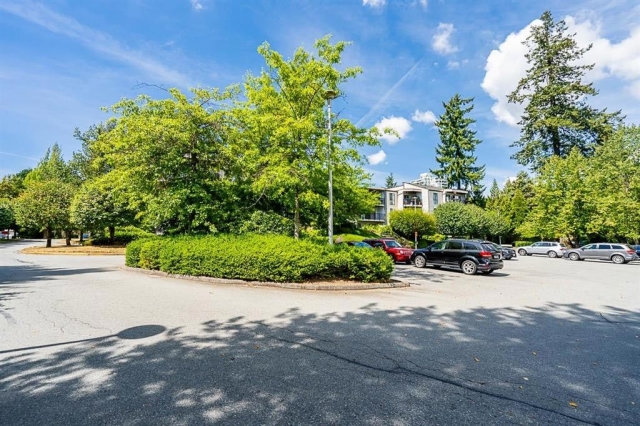 Tall Timbers - photo 4 of 15