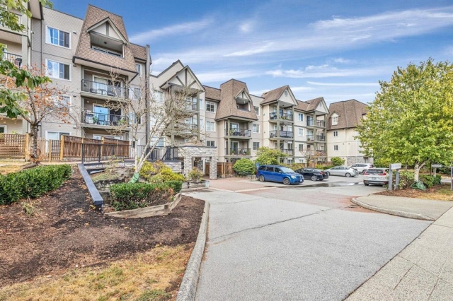 Tamaron - photo 4 of 5